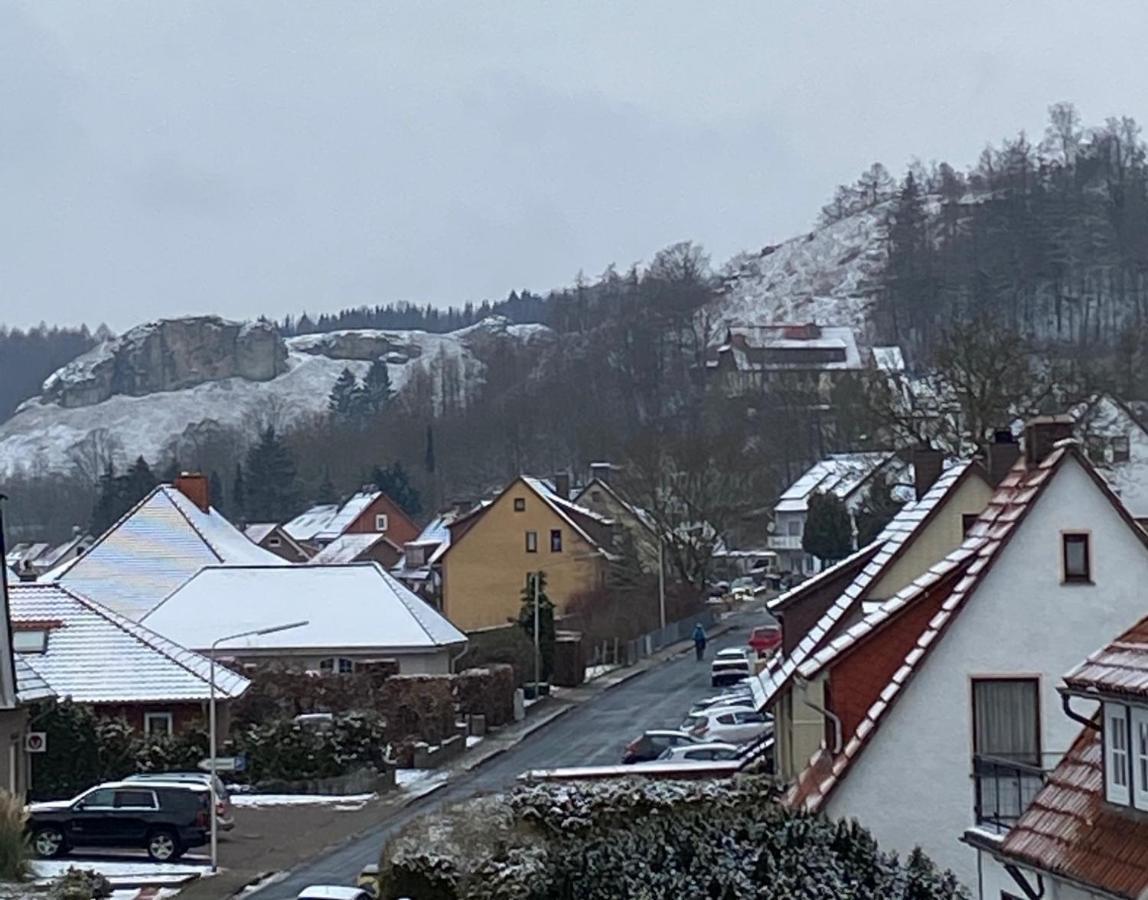 Appartement Steinberg-Blick à Herzberg am Harz Extérieur photo
